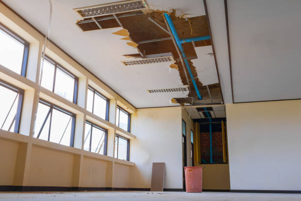 Best Ceiling water damage repair  in Boley, OK